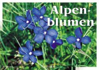PCB Alpine flowers