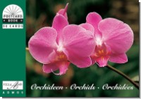 PCB Orchids