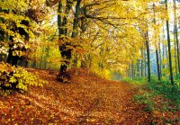 MK Herbst 96