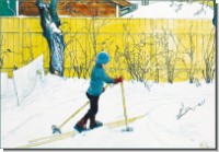 DK Carl Larsson; Der Hof in Falun