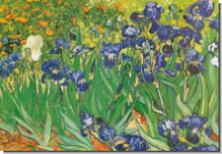 DK van Gogh; Les Iris