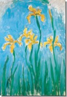 DK Claude Monet; Iris