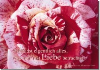 PK Sag es mit Rosen 30