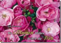 PK Sag es mit Rosen 01
