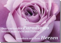 PK Sag es mit Rosen 05