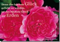 PK Sag es mit Rosen 06