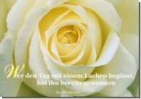 PK Sag es mit Rosen 07