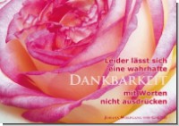 PK Sag es mit Rosen 11