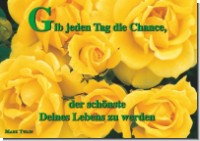 PK Sag es mit Rosen 13