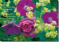 PK Sag es mit Rosen 15