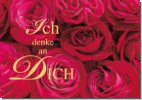 PK Sag es mit Rosen 17