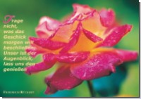 PK Sag es mit Rosen 18