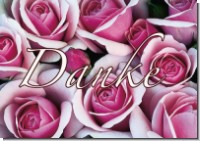 PK Sag es mit Rosen 19