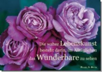 PK Sag es mit Rosen 21