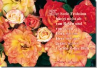 PK Sag es mit Rosen 23