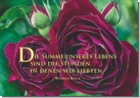 PK Sag es mit Rosen 24