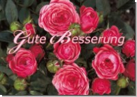 PK Sag es mit Rosen 26