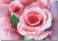 PK Sag es mit Rosen 27