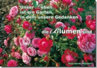 PK Sag es mit Rosen 28