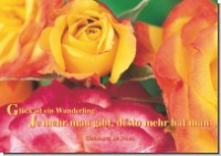PK Sag es mit Rosen 29