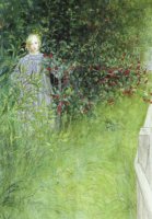 PK Carl Larsson: In der Rotdornhecke