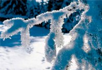 PK Winter 26