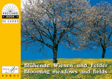 PKB Blühende Wiesen und Felder