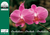 PKB Orchideen
