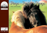 PKB Ponys