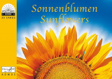 PKB Sonnenblumen