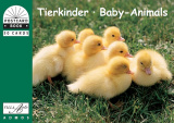 PKB Tierkinder