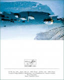 MK Schw?ne im Winter