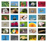 PKB Symbole des Glücks