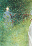DK Carl Larsson; In der Rotdornhecke