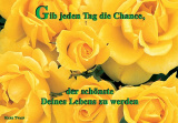 GC Sag es mit Rosen - Doroia