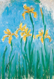 DK Claude Monet; Iris