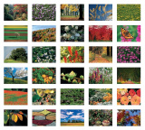 PKB Die Farben der Natur