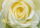 PK Sag es mit Rosen 07