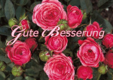PK Sag es mit Rosen 26