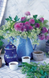 MK Blumenmotiv 99