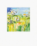 Ppt Renate Otto. Flowers & Friends 41