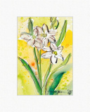 Ppt Renate Otto. Flowers & Friends 42