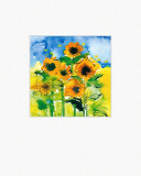 Ppt Renate Otto. Flowers & Friends 46