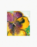 Ppt Renate Otto. Flowers & Friends 51