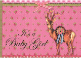 pip-Studio 298000 It`s a Baby Girl
