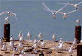 MK Am Meer 99