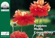 PCB poppies