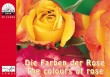 PKB Die Farben der Rose