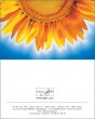 MK Sonnenblumen 98