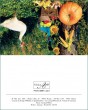 MK Herbst 98